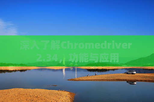 深入了解Chromedriver 2.34，功能与应用