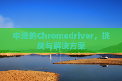中途的Chromedriver，挑战与解决方案